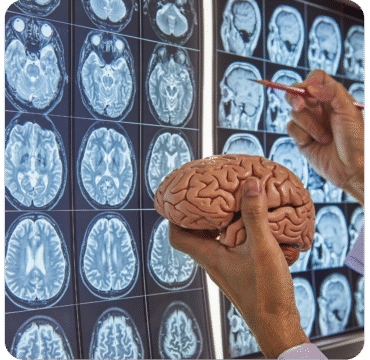 Diseño sin título - 2025-10-17T221735.018