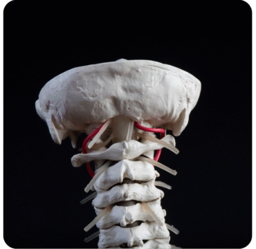 Diseño sin título - 2025-10-17T222400.514